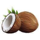 coconut