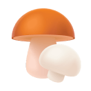 Mushrooms