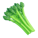 Asparagus