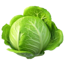 cabbage