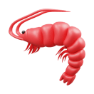 Shrimp