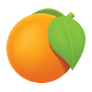 grapefruit